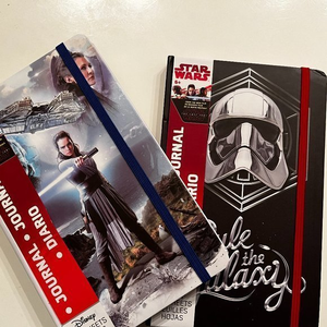 Star Wars Journals / Notebooks (Set of 2‎ / Princess and Darth Vader) (new) (h)